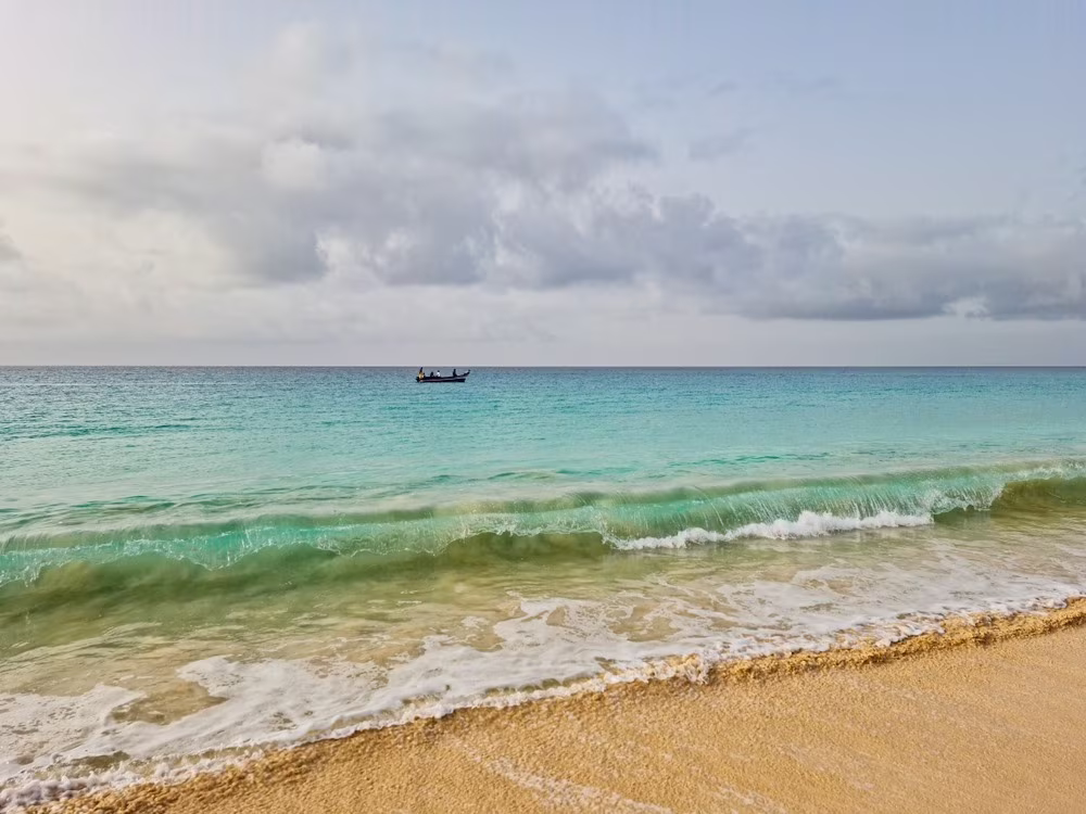 Safari and Beaches in Mozambique